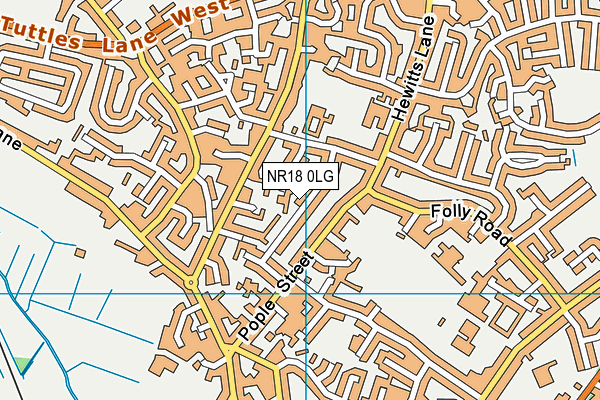 NR18 0LG map - OS VectorMap District (Ordnance Survey)