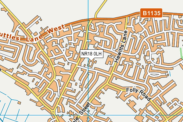 NR18 0LH map - OS VectorMap District (Ordnance Survey)