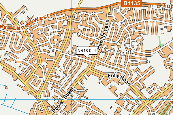 NR18 0LJ map - OS VectorMap District (Ordnance Survey)