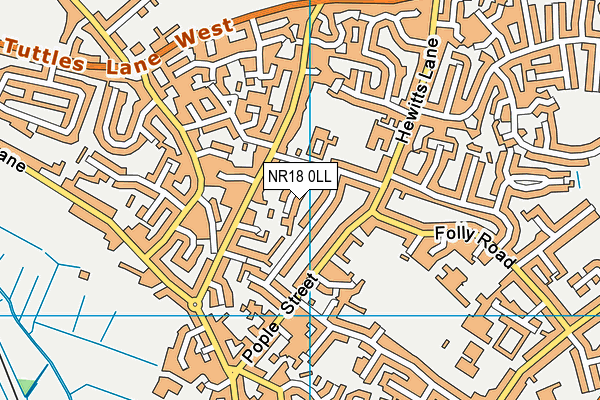 NR18 0LL map - OS VectorMap District (Ordnance Survey)