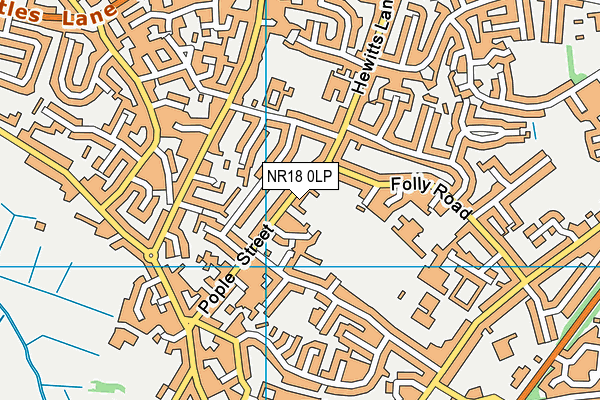 NR18 0LP map - OS VectorMap District (Ordnance Survey)
