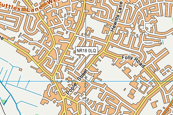 NR18 0LQ map - OS VectorMap District (Ordnance Survey)