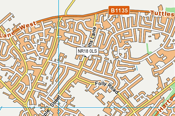 Robert Kett Primary School map (NR18 0LS) - OS VectorMap District (Ordnance Survey)