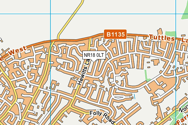 NR18 0LT map - OS VectorMap District (Ordnance Survey)