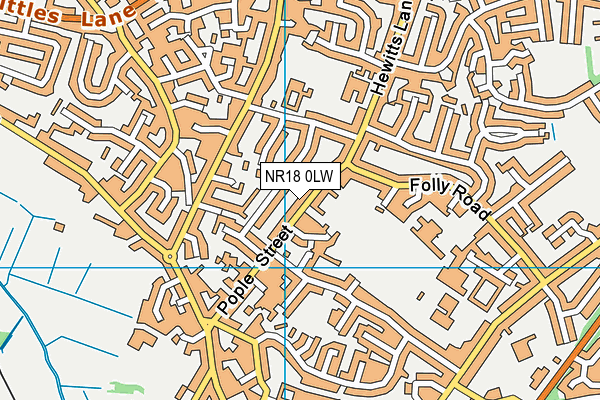 NR18 0LW map - OS VectorMap District (Ordnance Survey)