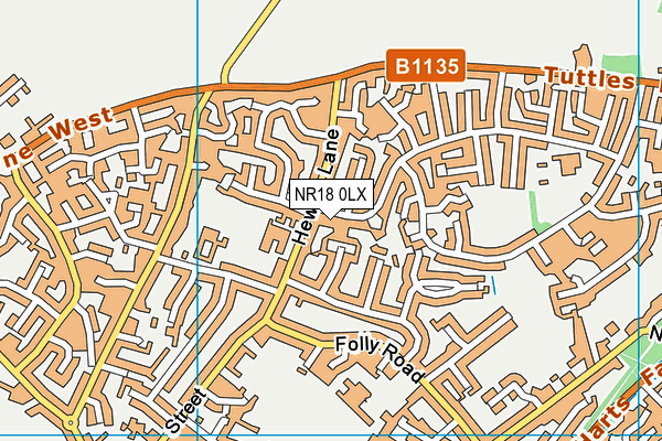 NR18 0LX map - OS VectorMap District (Ordnance Survey)