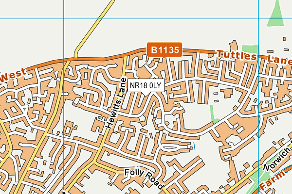 NR18 0LY map - OS VectorMap District (Ordnance Survey)