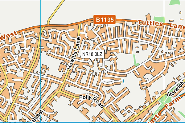 NR18 0LZ map - OS VectorMap District (Ordnance Survey)