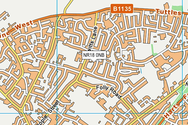 NR18 0NB map - OS VectorMap District (Ordnance Survey)
