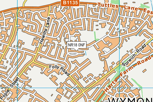 NR18 0NF map - OS VectorMap District (Ordnance Survey)