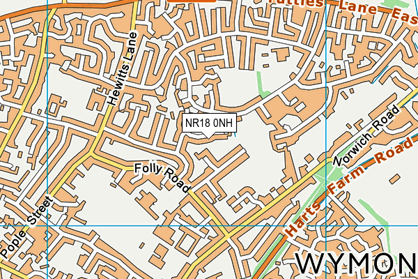 NR18 0NH map - OS VectorMap District (Ordnance Survey)