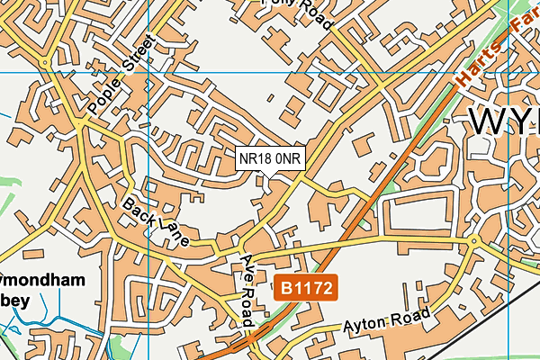 NR18 0NR map - OS VectorMap District (Ordnance Survey)