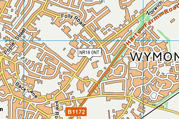 Wymondham Dell Indoor Bowls Club map (NR18 0NT) - OS VectorMap District (Ordnance Survey)
