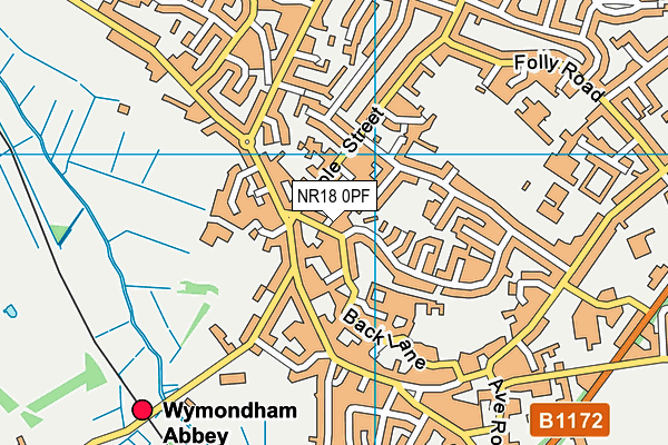 NR18 0PF map - OS VectorMap District (Ordnance Survey)