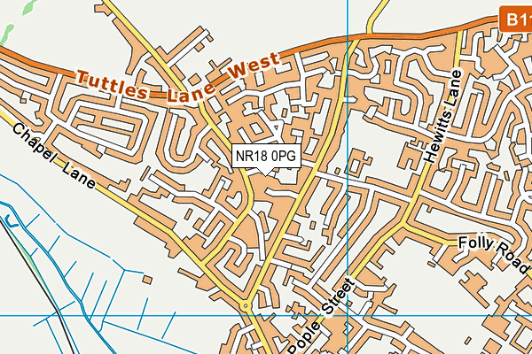 NR18 0PG map - OS VectorMap District (Ordnance Survey)