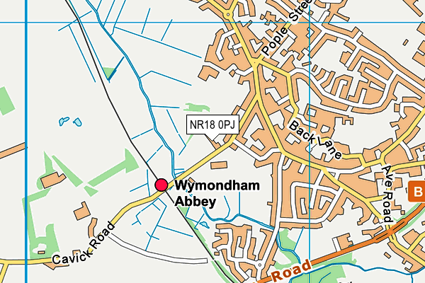 NR18 0PJ map - OS VectorMap District (Ordnance Survey)