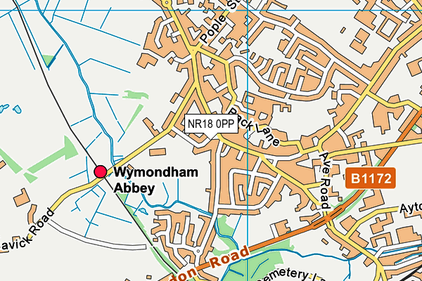 NR18 0PP map - OS VectorMap District (Ordnance Survey)