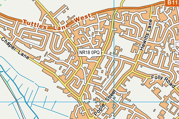 NR18 0PQ map - OS VectorMap District (Ordnance Survey)
