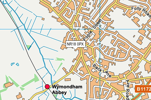 NR18 0PX map - OS VectorMap District (Ordnance Survey)