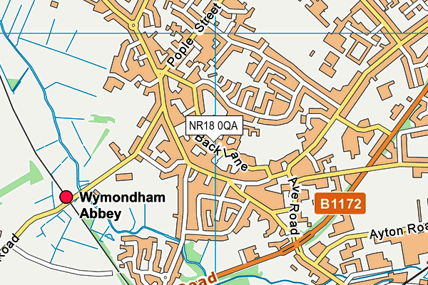 NR18 0QA map - OS VectorMap District (Ordnance Survey)