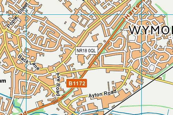 NR18 0QL map - OS VectorMap District (Ordnance Survey)