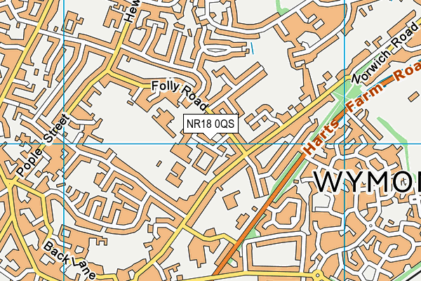 NR18 0QS map - OS VectorMap District (Ordnance Survey)