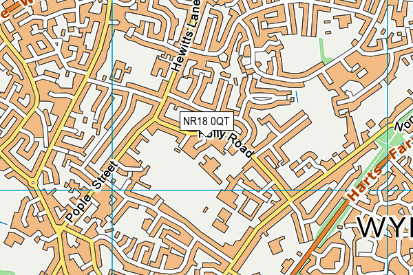 Wymondham High Academy map (NR18 0QT) - OS VectorMap District (Ordnance Survey)