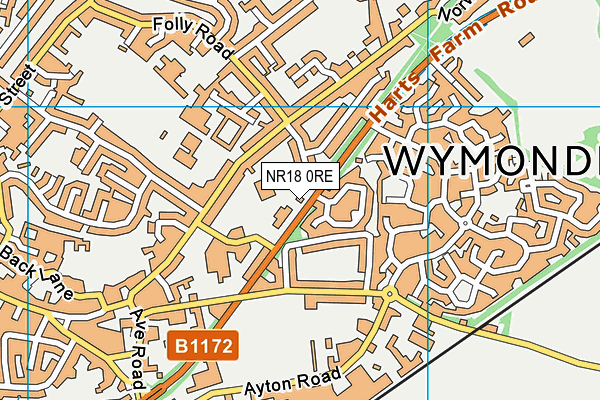 NR18 0RE map - OS VectorMap District (Ordnance Survey)