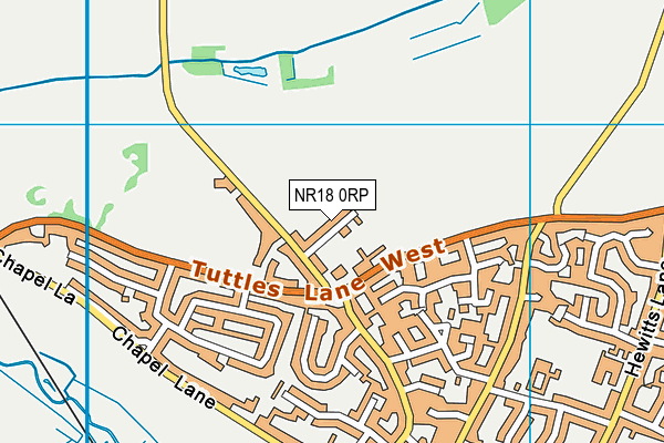 NR18 0RP map - OS VectorMap District (Ordnance Survey)