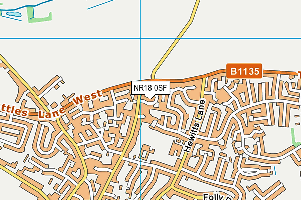 NR18 0SF map - OS VectorMap District (Ordnance Survey)