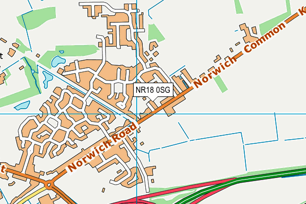 NR18 0SG map - OS VectorMap District (Ordnance Survey)