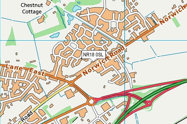 NR18 0SL map - OS VectorMap District (Ordnance Survey)
