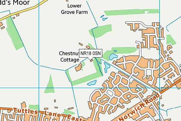 NR18 0SN map - OS VectorMap District (Ordnance Survey)