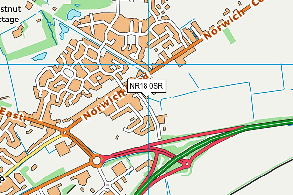 NR18 0SR map - OS VectorMap District (Ordnance Survey)