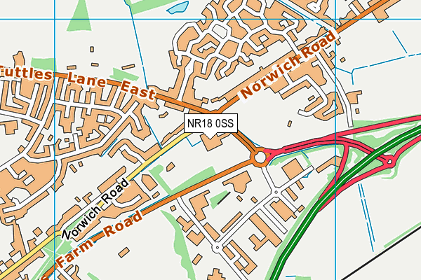 NR18 0SS map - OS VectorMap District (Ordnance Survey)