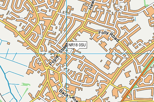 NR18 0SU map - OS VectorMap District (Ordnance Survey)