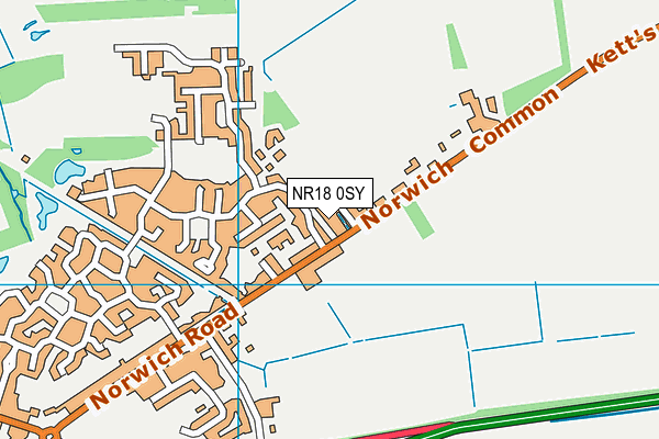 NR18 0SY map - OS VectorMap District (Ordnance Survey)
