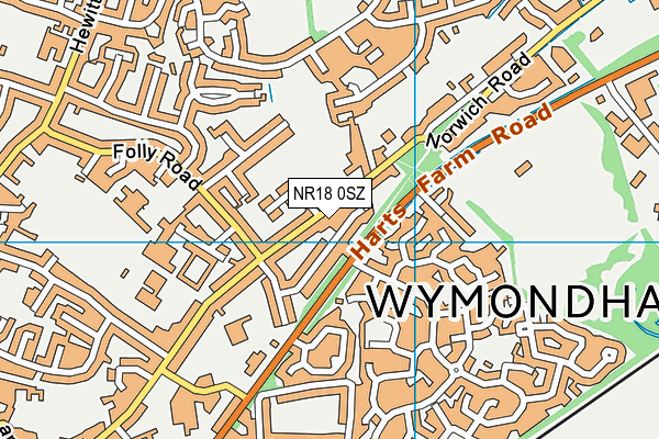 NR18 0SZ map - OS VectorMap District (Ordnance Survey)