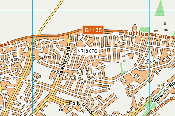 NR18 0TG map - OS VectorMap District (Ordnance Survey)