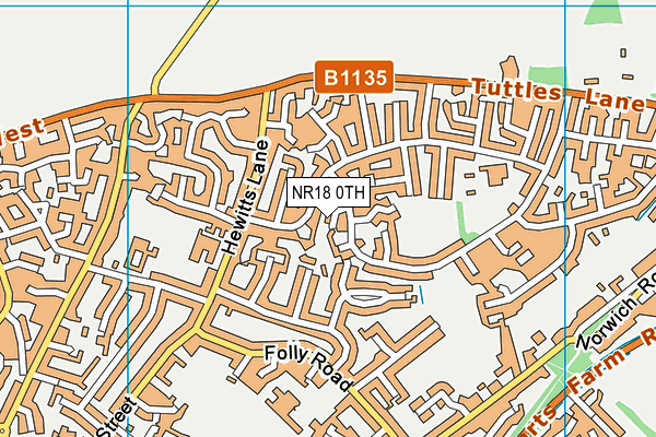 NR18 0TH map - OS VectorMap District (Ordnance Survey)