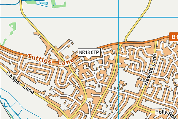 NR18 0TP map - OS VectorMap District (Ordnance Survey)