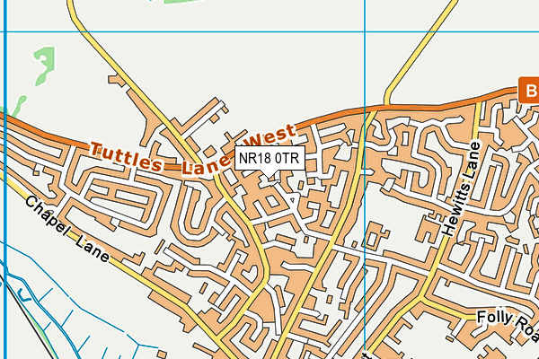 NR18 0TR map - OS VectorMap District (Ordnance Survey)