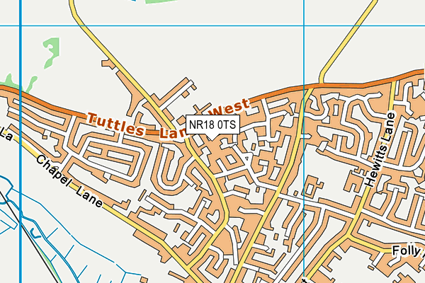 NR18 0TS map - OS VectorMap District (Ordnance Survey)