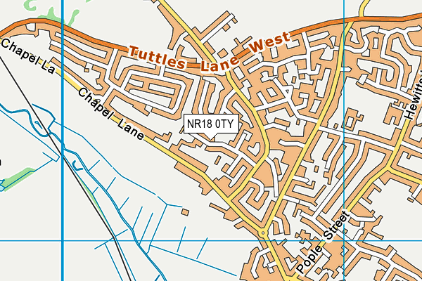 NR18 0TY map - OS VectorMap District (Ordnance Survey)