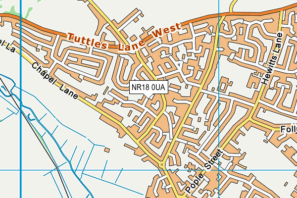 NR18 0UA map - OS VectorMap District (Ordnance Survey)