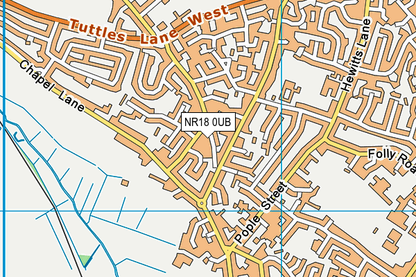 NR18 0UB map - OS VectorMap District (Ordnance Survey)