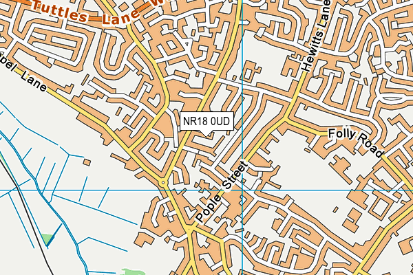 NR18 0UD map - OS VectorMap District (Ordnance Survey)
