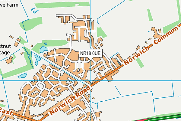 NR18 0UE map - OS VectorMap District (Ordnance Survey)