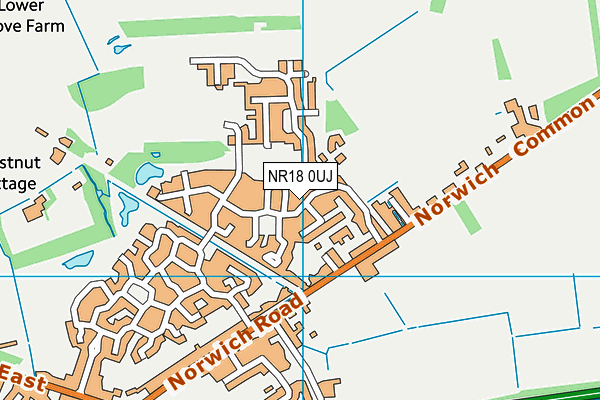 NR18 0UJ map - OS VectorMap District (Ordnance Survey)