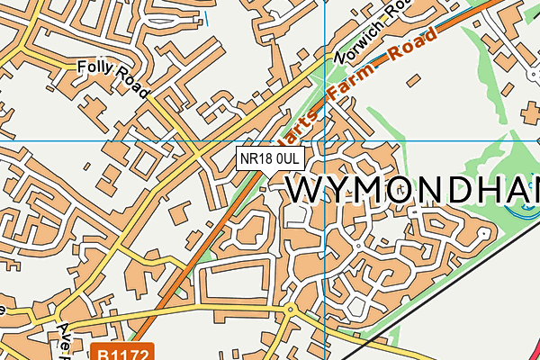 NR18 0UL map - OS VectorMap District (Ordnance Survey)